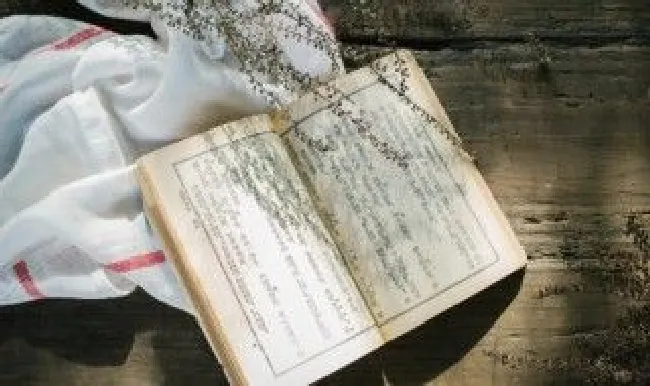 十不干的内容是什么（生产现场十不干的内容是什么）