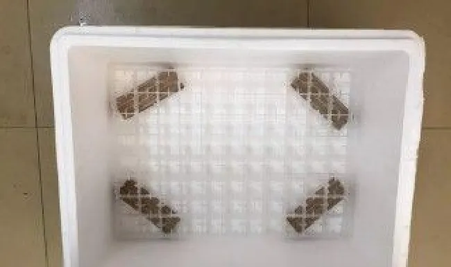 怎么做孵化箱简单孵小鸭（怎么做孵化箱简单孵小鸭子视频）