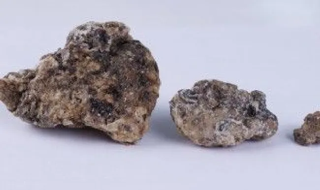 龙涎香和鲸蜡怎么分辨（龙涎香和鲸蜡怎么分辨真伪）