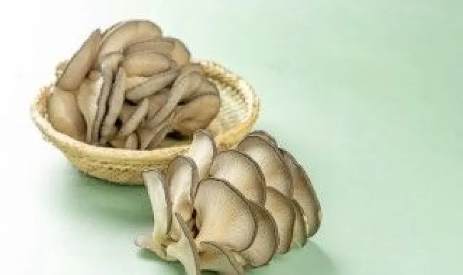 蘑菇根部有白毛还能吃吗（蘑菇根部长白毛还能吃吗）