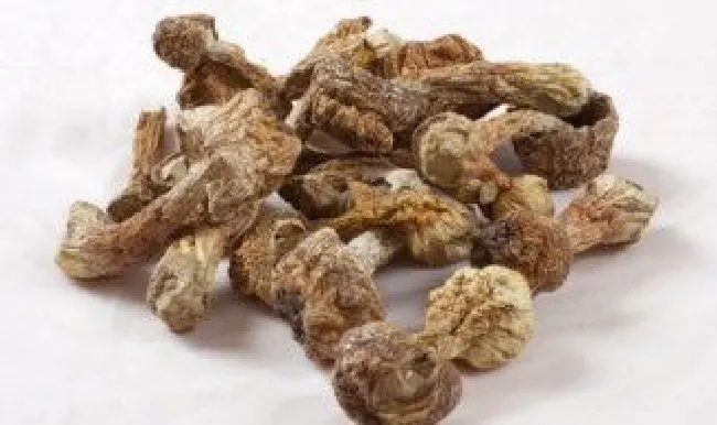 松茸干保存方法（松茸干如何保存方法）