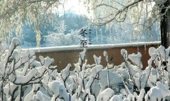 冬至条幅标语 冬至宣传标题