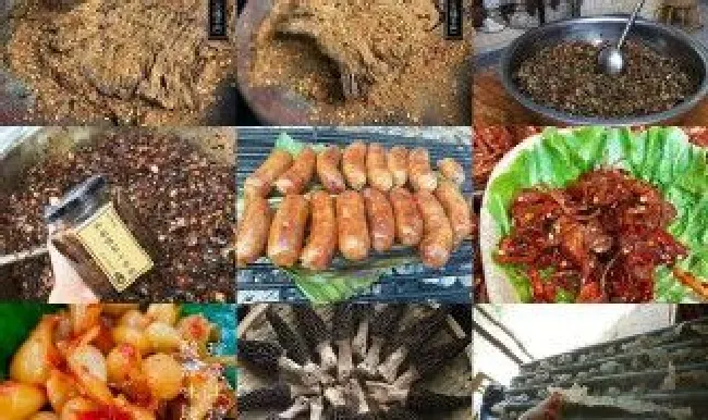 西双版纳特产（西双版纳特产有哪些土特产）