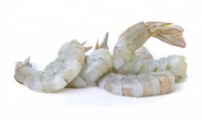 干煸虾什么意思 干煸虾是什么段子