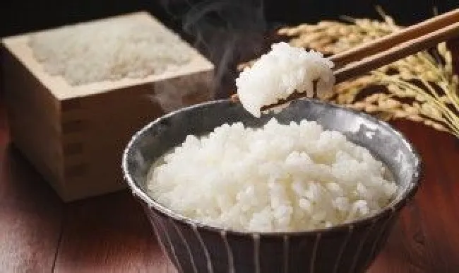 米饭能量 米饭能量是多少千焦