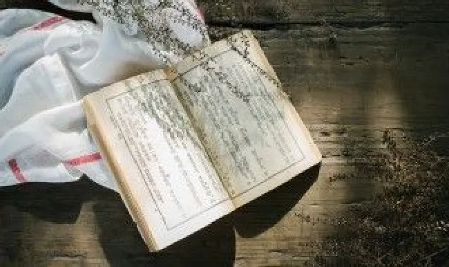 楞严经最美的句子（楞严经最美的句子及翻译）