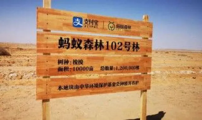 蚂蚁森林怎么给自己浇水 蚂蚁森林怎么给自己浇水呢