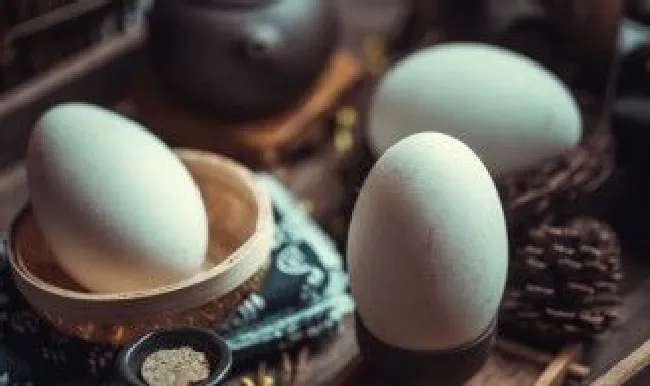 煮鹅蛋煮多久能煮熟 煮鹅蛋煮多久能煮熟啊