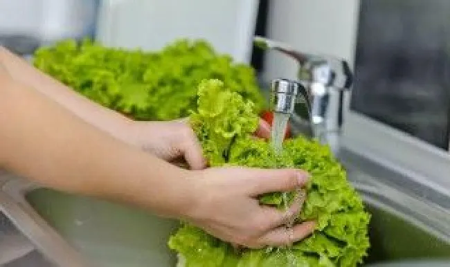 农药残留多怎样洗菜更干净 农药残留多怎样洗菜更干净呢