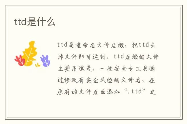 ttd是什么