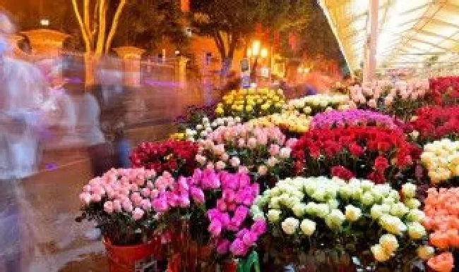 玫瑰到了花期什么意思 玫瑰花的花期是多少天