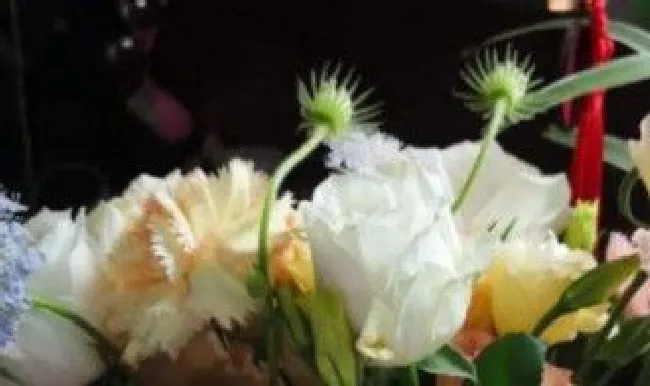 买的鲜花怎么保持久一点 买的鲜花怎么能保存的时间长一点