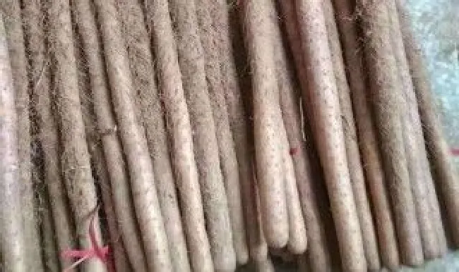 铁棍山药和淮山药的区别和作用（铁棍山药和淮山药的区别）