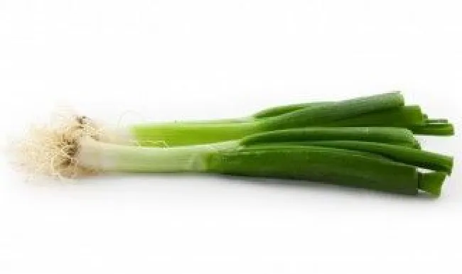香菜和香葱怎么保鲜（香菜和葱如何保鲜）