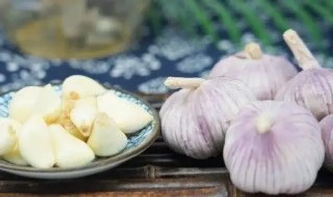 蒜子的保存方法（蒜子的储存方法和时间）