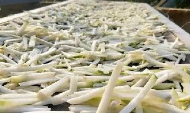 萝卜条保存方法 萝卜条怎么保存