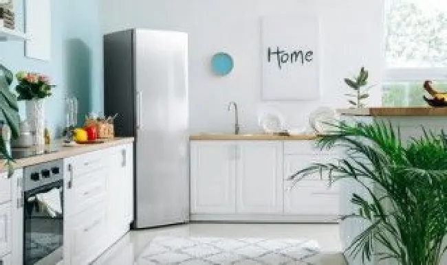 屋里有蜈蚣怎么办去除 阴虱虫子图片