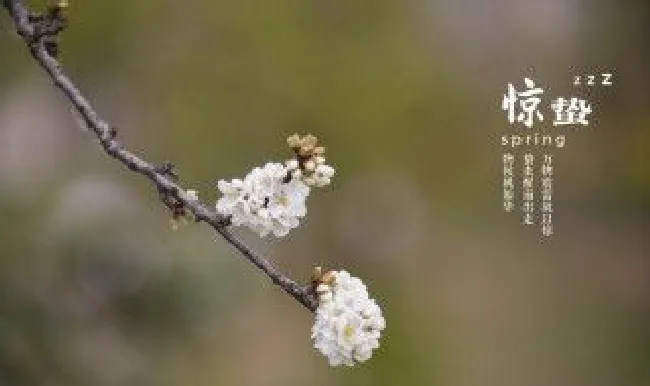 惊蛰的习俗有哪些（惊蛰的风俗是什么）