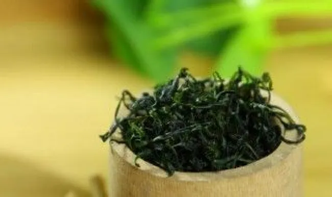 毛冬青可以长期喝吗（毛冬青茶叶可以长期饮用吗）