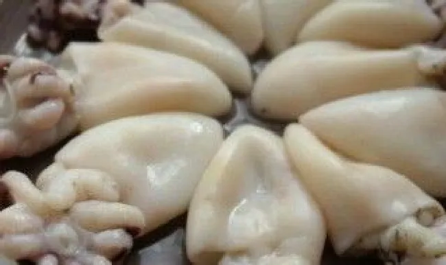墨鱼仔怎么挑选（墨鱼仔怎么挑选才好吃）