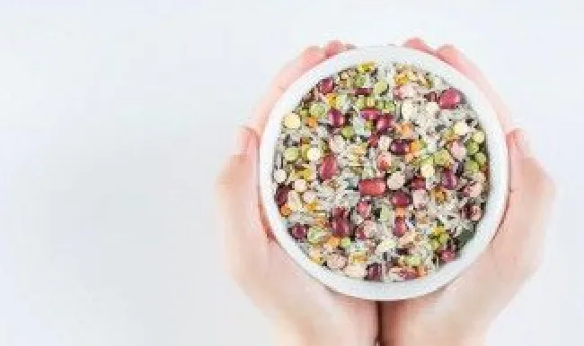 粮食保存方法 粮食保存方法和期限