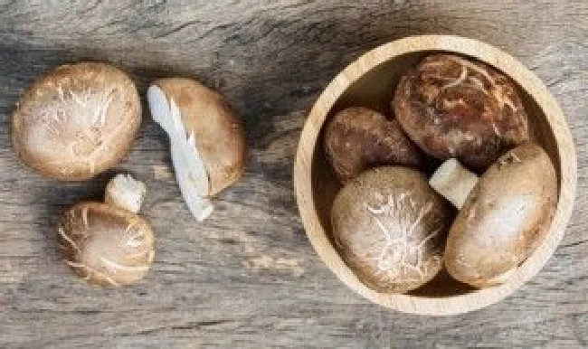 干香菇保存方法 干香菇保存方法 冰箱