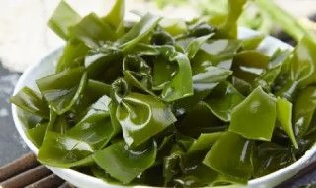 昆布和海带的区别是什么 昆布和海带的区别是什么意思