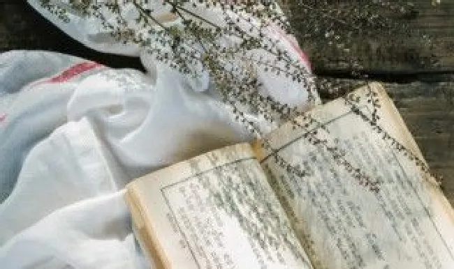 漌字取名的寓意是什么（漌字取名的寓意是什么意思）