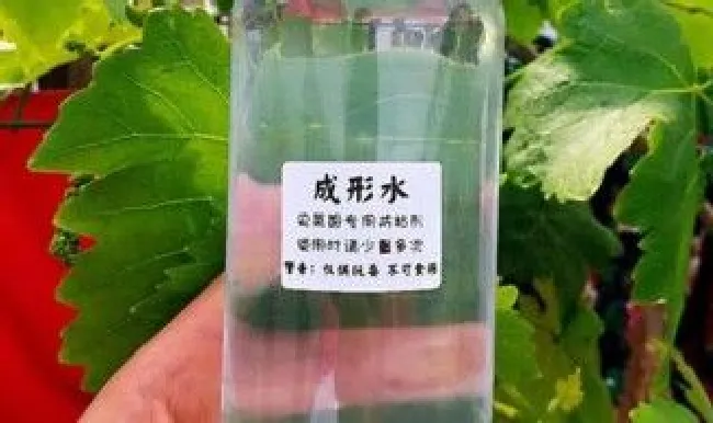 怎么做成型水（怎么做成型水100%成功）