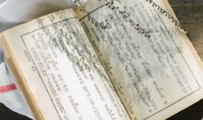 薇字五行属什么（五行属什么怎么看）