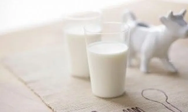 灭菌乳和纯牛奶的区别（灭菌乳和纯牛奶的区别在哪）