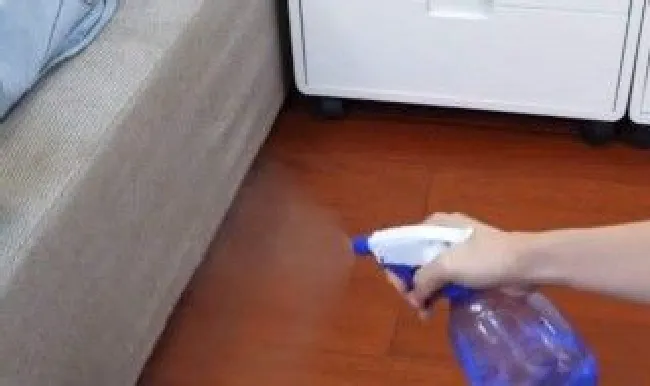 屋里有异味怎么去除 甲醛最怕的三个土方法