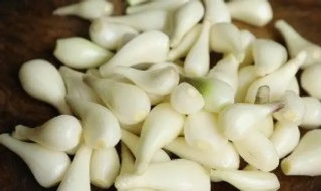 阳台怎么种藠头（阳台种草头）