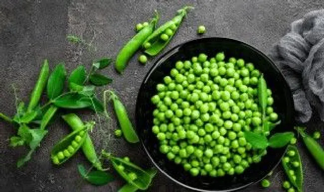 豌豆和荷兰豆的区别 荷兰豆老了就是豌豆吗