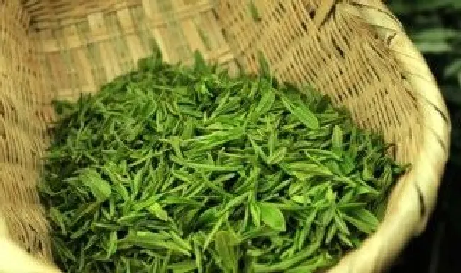 毛尖的保存方法（毛尖的储藏方法）