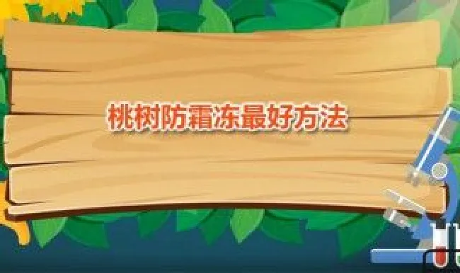 桃树防霜冻最好方法 桃树防冻用什么办法