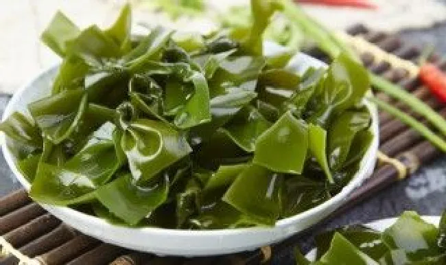 海带能放冰箱冷冻吗（海带能放冰箱里冷冻吗）