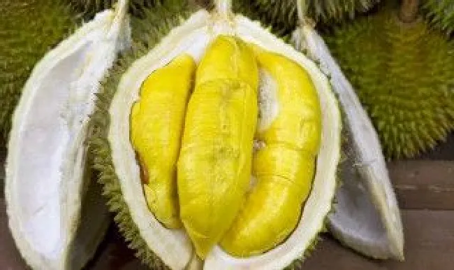 榴莲吃不完怎么保存冷冻还是冷藏（榴莲吃不完怎么保存冷冻还是冷藏好）