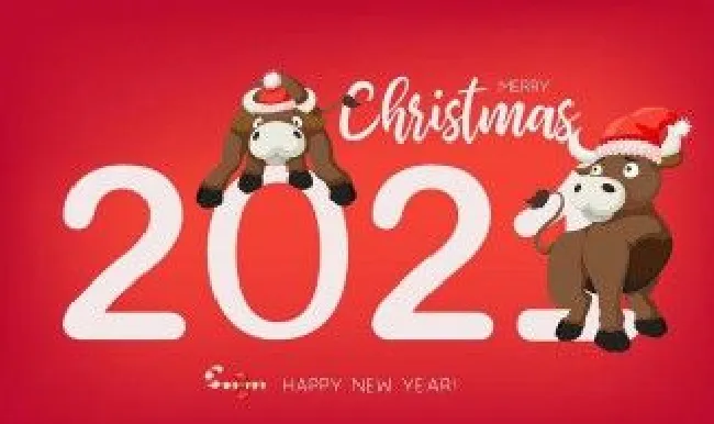 2021年运气好的网名 2021年运气最好的网名
