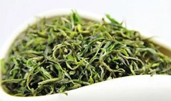 毛峰茶叶产地哪里（毛峰茶是哪里的特产）