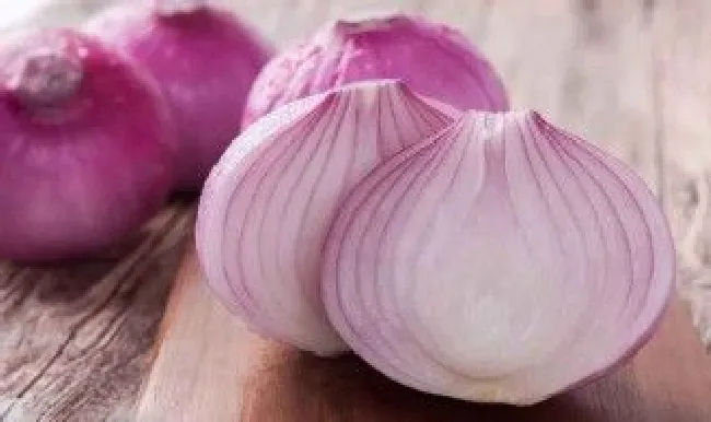 冰箱里的洋葱味怎么去除?（冰箱里的洋葱味怎么去除味道）