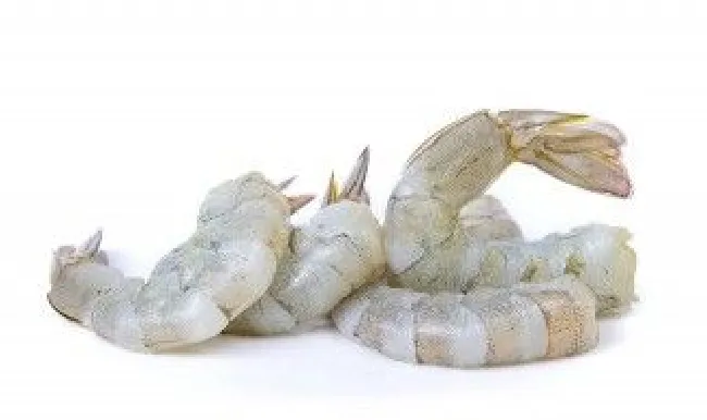 虾头可以吃吗 九节虾头可以吃吗