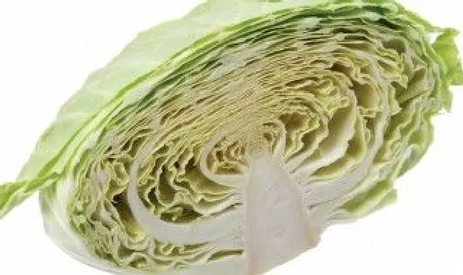 卷心菜和包菜的区别 包菜的功效与作用