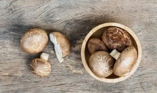 新鲜的香菇怎么处理 新鲜香菇怎么处理方法