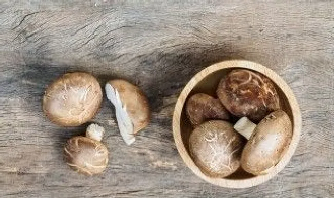 香菇泡多久最好 香菇泡久了有毒吗