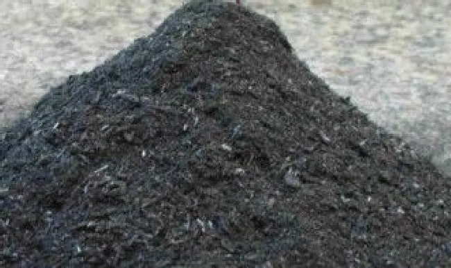 煤炭灰可以当肥料吗 煤灰可不可以当肥料
