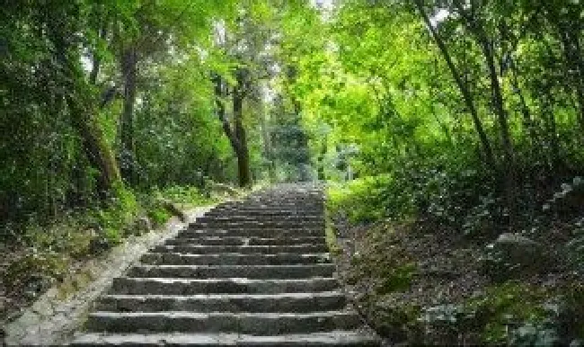 岳麓山海拔多少米 岳麓山多高