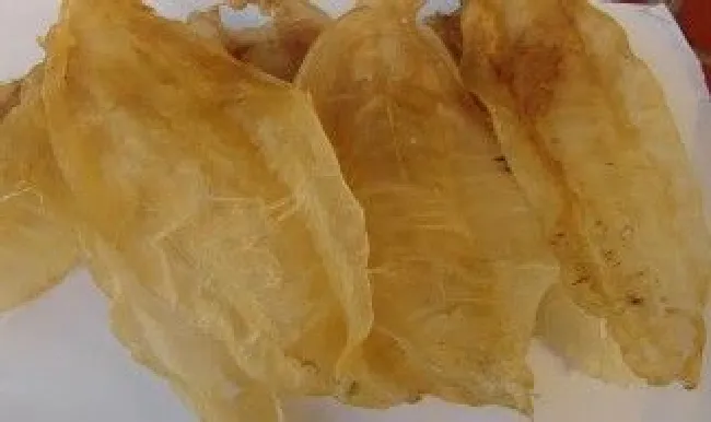 油发花胶的正确泡发方法（油发花胶的做法）