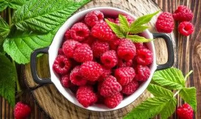 树莓怎么种 树莓怎么种植方法