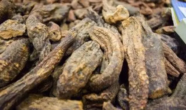 肉苁蓉可以放冰箱吗 肉苁蓉能放冰箱冷冻保存吗